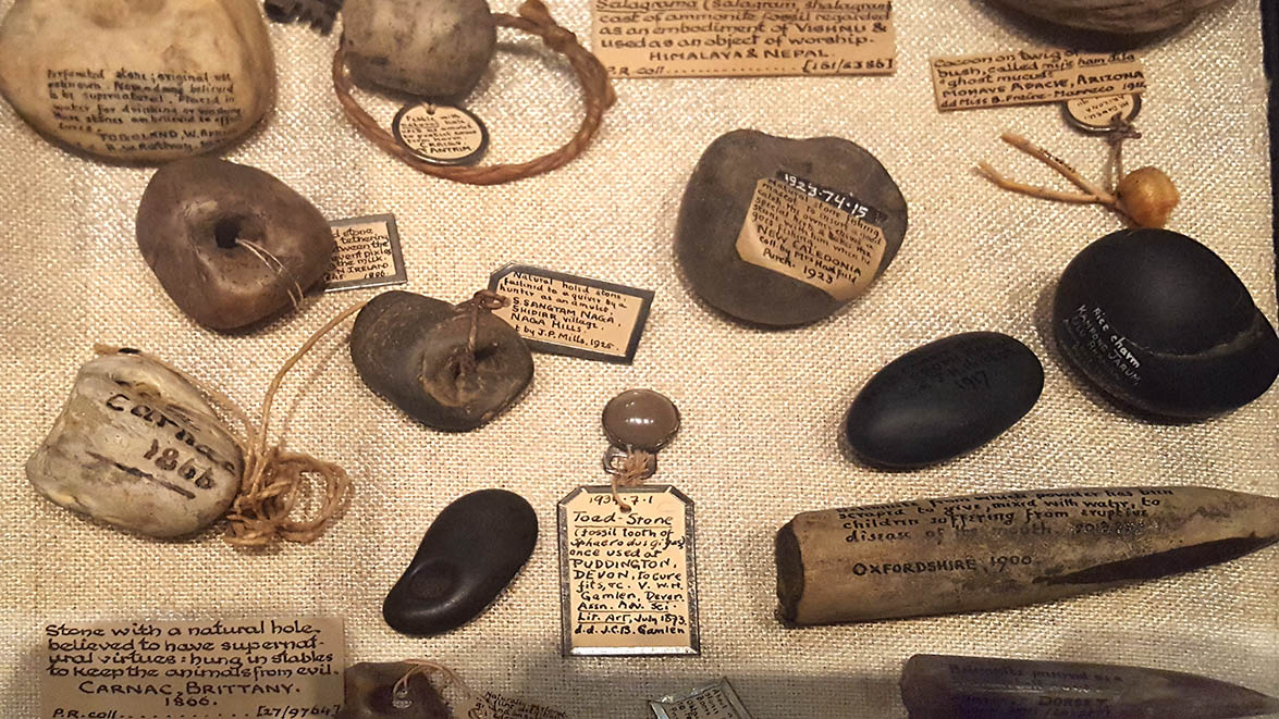 Stones with handwritten labels displayed in glass cabinets in The Pitt Rivers Museum